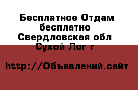 Бесплатное Отдам бесплатно. Свердловская обл.,Сухой Лог г.